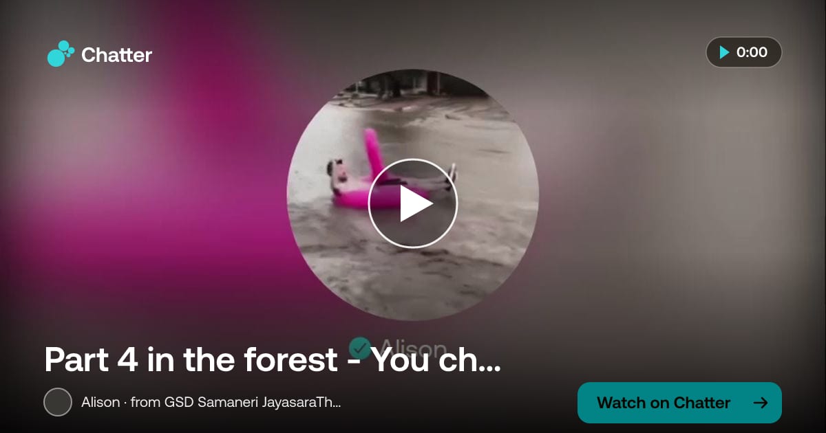 Part 4 in the forest - You choose who is in your sandbox - all good · a moment on Chatter
